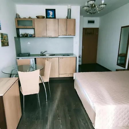 Studio In Apartcomplex Solmarine Слънчев бряг